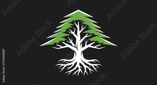 Elegant cedar tree illustration with roots and green leaves on black background.