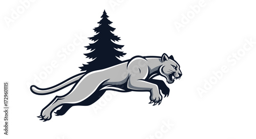 Powerful grey cougar leaping forward with intense focus and open mouth.