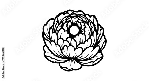 Detailed Black and White Peony Flower Illustration.