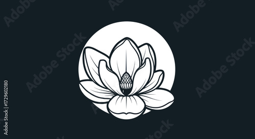 Elegant magnolia flower line art illustration sketch.