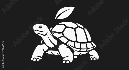 White tortoise with leaf slow and steady.