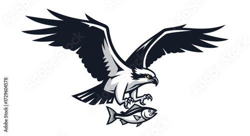 Osprey in Flight with Fish Powerful Bird of Prey Hunting Wildlife Nature.