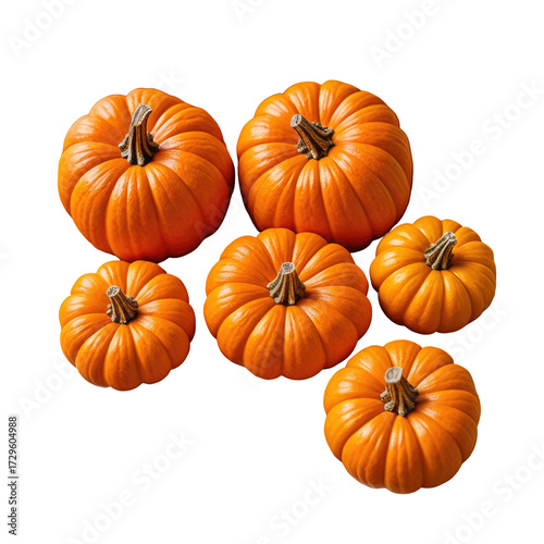 Six bright orange pumpkins with ribbed skin, ripe for fall harvest