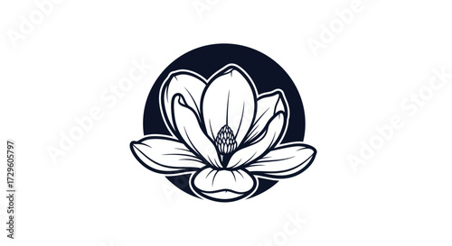 Elegant Magnolia Flower Blossom in Black and White.