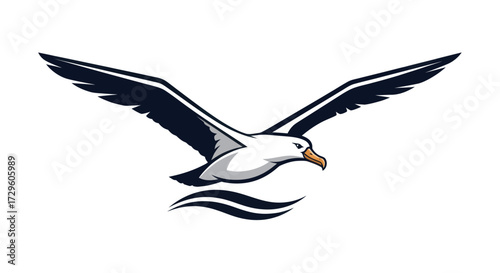 Seagull in Flight Powerful Bird Majestic Wingspan Ocean Bird Coastal Wildlife Free Bird.