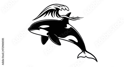 Stylized Black and White Orca Whale Leaping Through Ocean Wave Illustration.