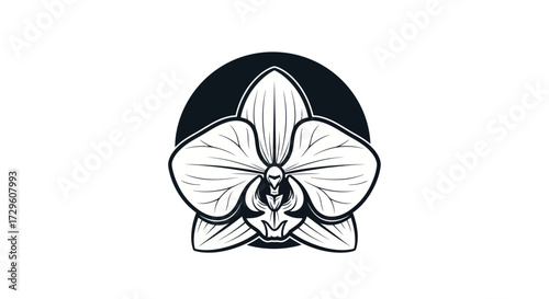 Elegant orchid flower illustration in monochrome line art style.