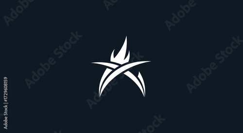 Stylized Flame Star Logo: A Symbol of Passion and Innovation.