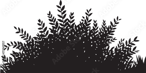 Plant Silhouette Graphic Bush Black Foliage Shrub Branches Grass Isolated Vector