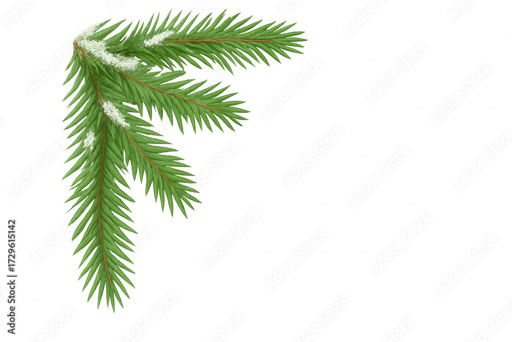 Obraz premium Christmas winter spruce branch with snow ornament for festive greeting card and seasonal holiday celebration on transparent background