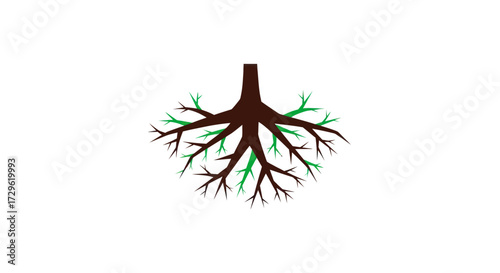 Stylized illustration of a healthy tree root system spreading wide underground.
