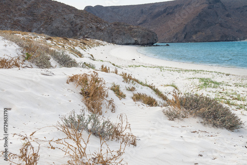 Sunrise on the dunes of Balandra beach in La Paz, Baja California Sur, Mexico. white sand beach with the Sea of ​​Cortes in the background