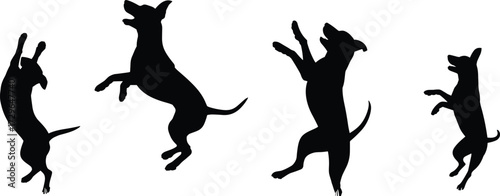 Dog silhouette vector, jumping dog pose, playful pet illustration, black dog graphic, isolated animal design, energetic dog movement, flat vector illustration