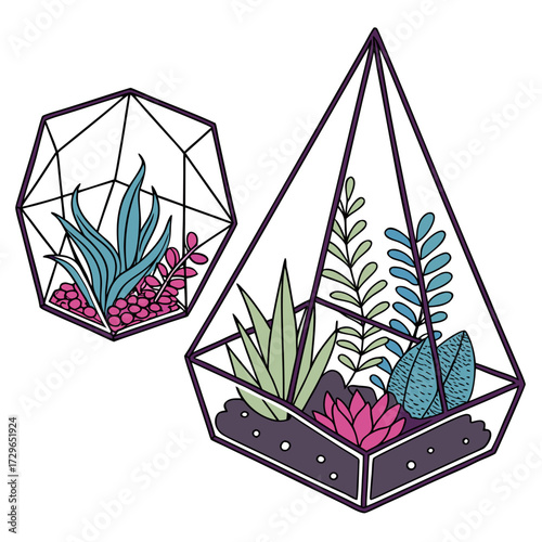 Two modern geometric terrariums filled with colorful succulent plants and decorative pebbles presented on a clean white background
