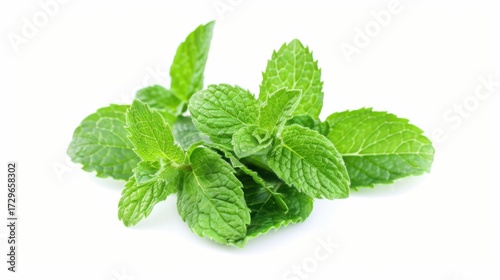 Fresh Mint Herb Vistas: Isolated Peppermint Leaves, Spearmint Tea Ingredients & Organic Garden Melissa