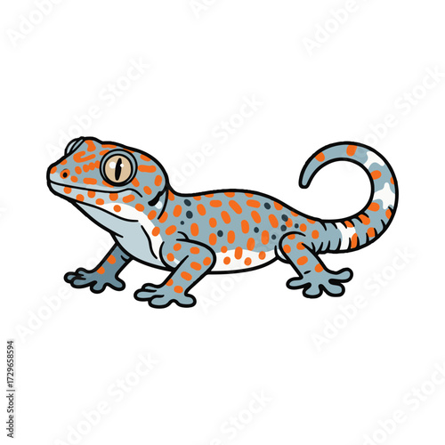 
gecko illustration design