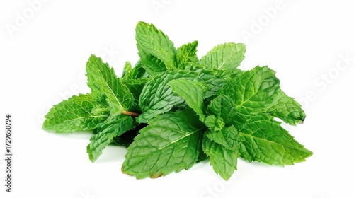 Fresh Mint Herb Vistas: Isolated Peppermint Leaves, Spearmint Tea Ingredients & Organic Garden Melissa
