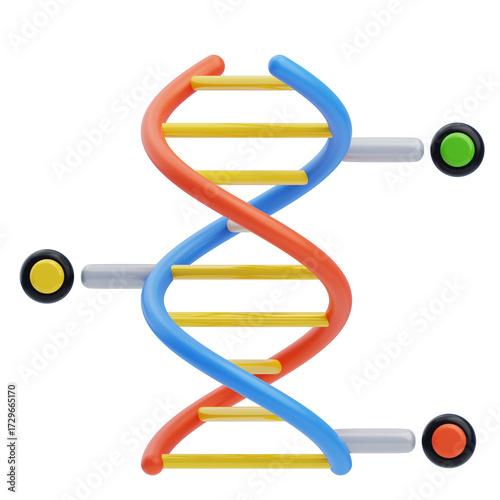 Double Helix DNA Structure with Colorful Strands Isolated on Transparent Backdrop for Scientific Medical Educational Projects