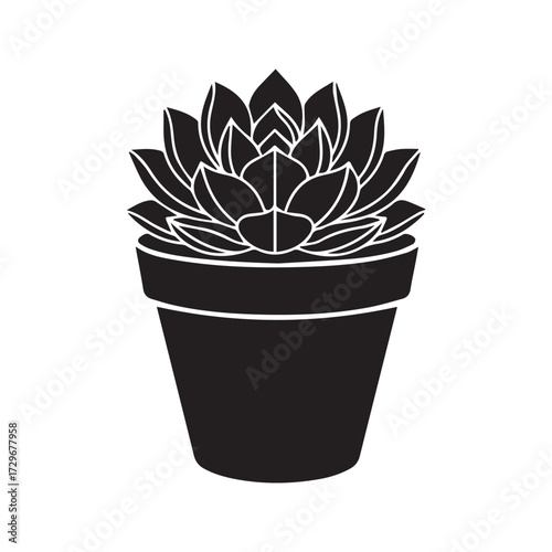 Succulent plant silhouette in a pot. Vector graphic icon of a potted houseplant, Echeveria, isolated on white background. Minimalist black and white botanical illustration for home decor.
