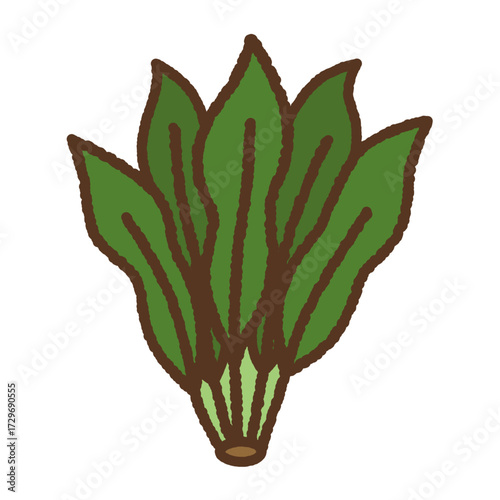 手書き風の単品アイコンイラスト　野菜　ほうれん草