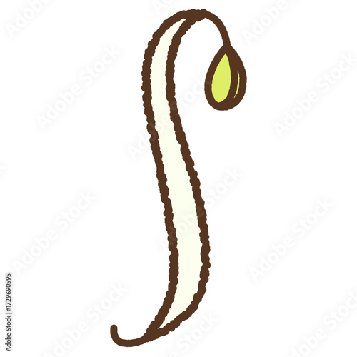 手書き風の単品アイコンイラスト　野菜　もやし