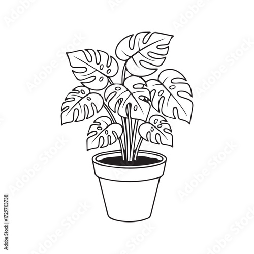 Monstera Adansonii Swiss Cheese Plant Line Art Illustration. Potted Houseplant Outline Drawing, Minimalist Botanical Vector Isolated on White Background for Coloring.
