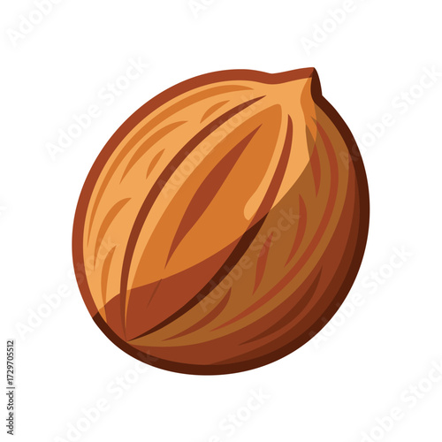 isolated nutmeg on white background
