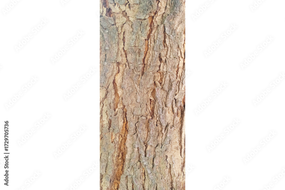 Fototapeta premium Old wooden fence isolated on white background