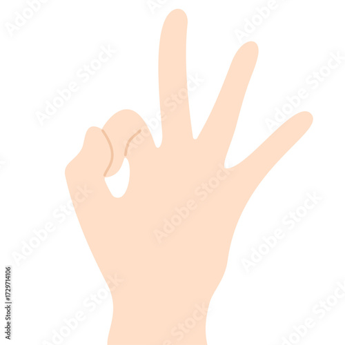 Hand Gesture Making Number
Three