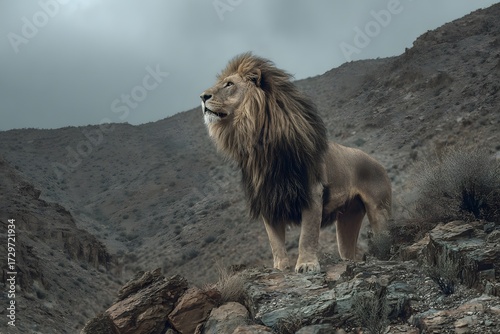 A strong lion stands confidently on rocky terrain in a misty mountain landscape, exuding dominance and natural wilderness strength.
