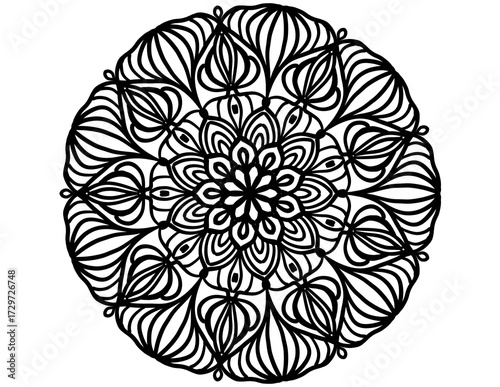 Mandala floral background