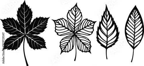 Botanical Leaf Icon Doodle Set – Black and White Vector Illustrations of Palmate and Lanceolate Leaf Structures
