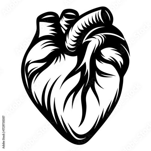 Stylized anatomical heart illustration in black and white bold line art