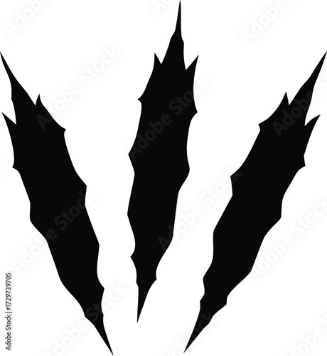 Vector Claw Silhouette - Animal Paw, Eagle or Dragon Talon Graphic, Predatory Claw or Talon - Sharp Silhouette Vector Illustration

