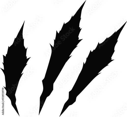 Vector Claw Silhouette - Animal Paw, Eagle or Dragon Talon Graphic, Predatory Claw or Talon - Sharp Silhouette Vector Illustration

