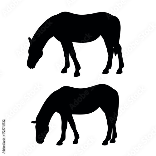 Two black horse silhouettes grazing in a field against a white background