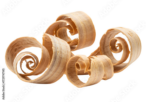 Wood shavings curl isolated on white or transparent background. PNG