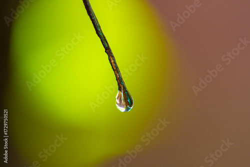 water drop on a yellow background