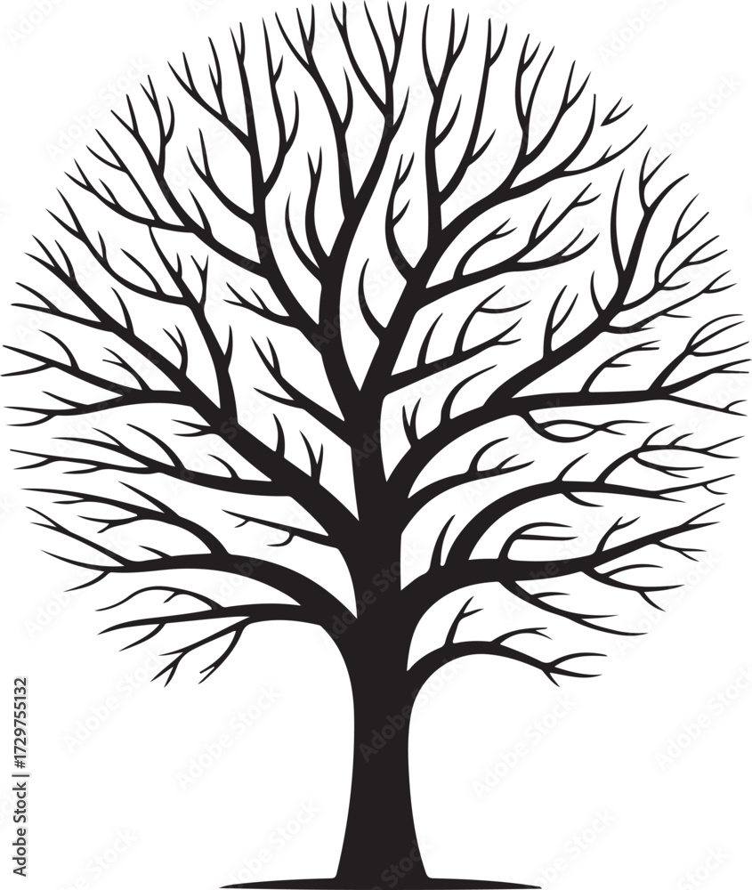 Obraz premium Autumn Tree Silhouette Vector Black on White