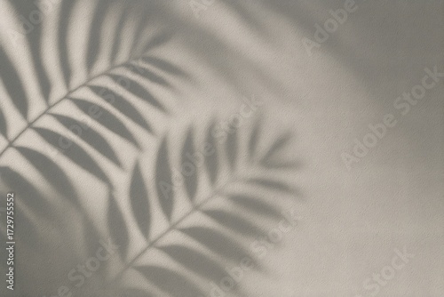 Plant Shadows on Wall – High Resolution Artistic Photography (Horizontal)