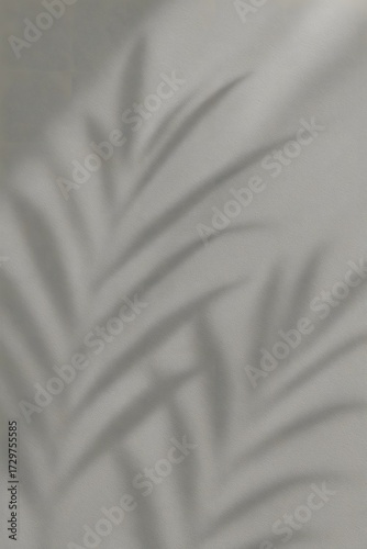 Plant Shadows on Wall – High Resolution Artistic Photography (Vertical)