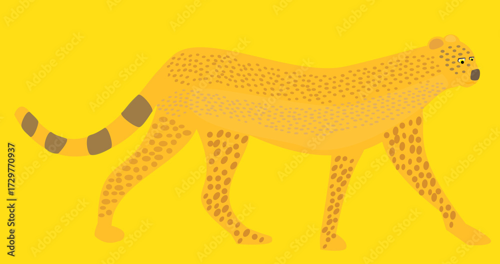 Fototapeta premium A vector art of a cheetah. 