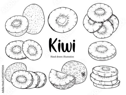 Set of hand drawn whole Kiwi and cut kiwi outline drawing illustration