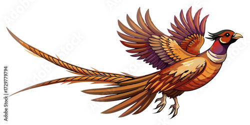 Colorful Ring Necked Pheasant in Flight Isolated on White Background Vector Illustration