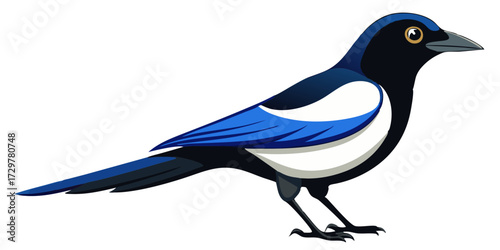 Cartoon Illustration of a Eurasian Magpie Bird on a White Background