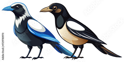 Two beautifully colored magpies standing side by side on a white background