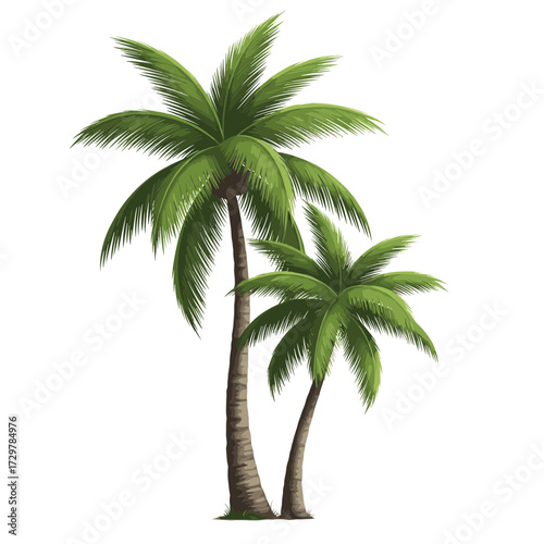 Two classic palm trees with green fronds, tropical summer vacation vector illustration.