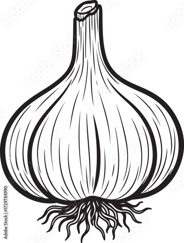Black and white line drawing of a garlic bulb food