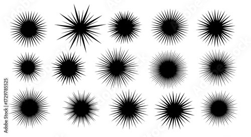 Collection of Abstract Black Spiky Shapes and Starbursts with Varying Radial Formats
