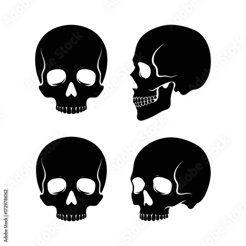 Set of black skull silhouettes from front and side profiles, suitable for Halloween, gothic, pirate, or medical designs.